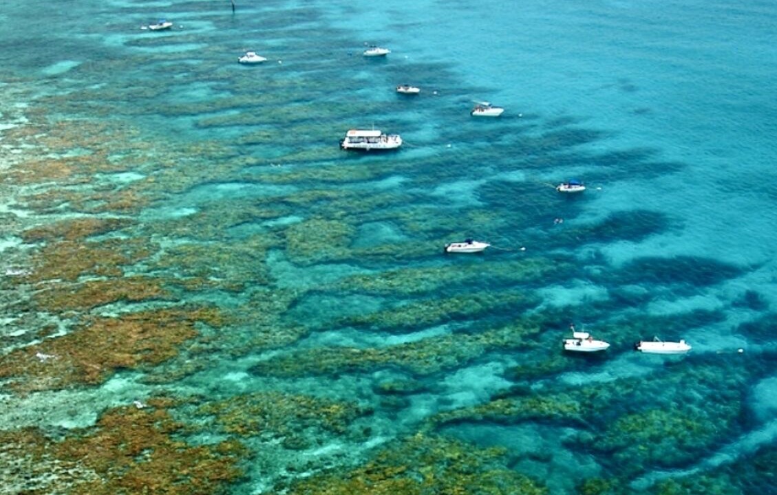 Photo of Others in Ramrod Key