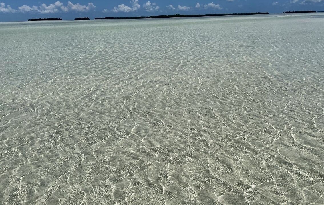 Photo of Others in Ramrod Key