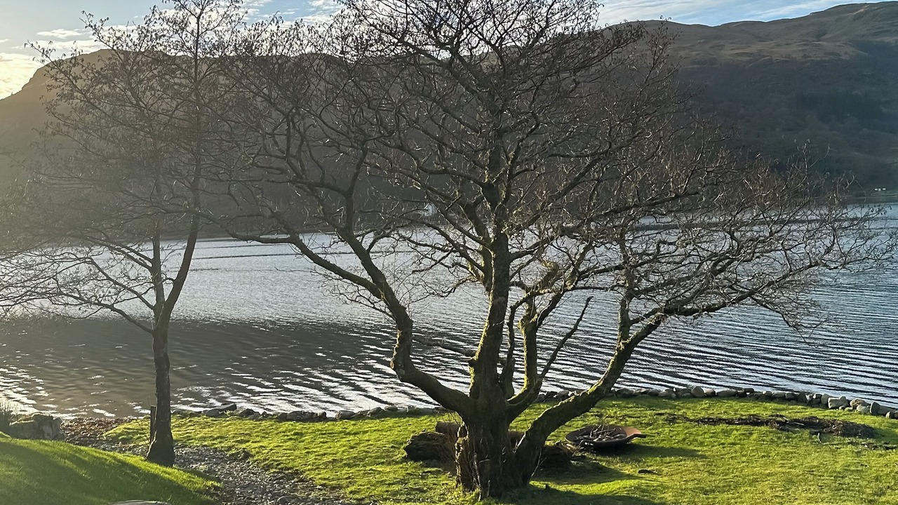 Photo of Others in Colintraive