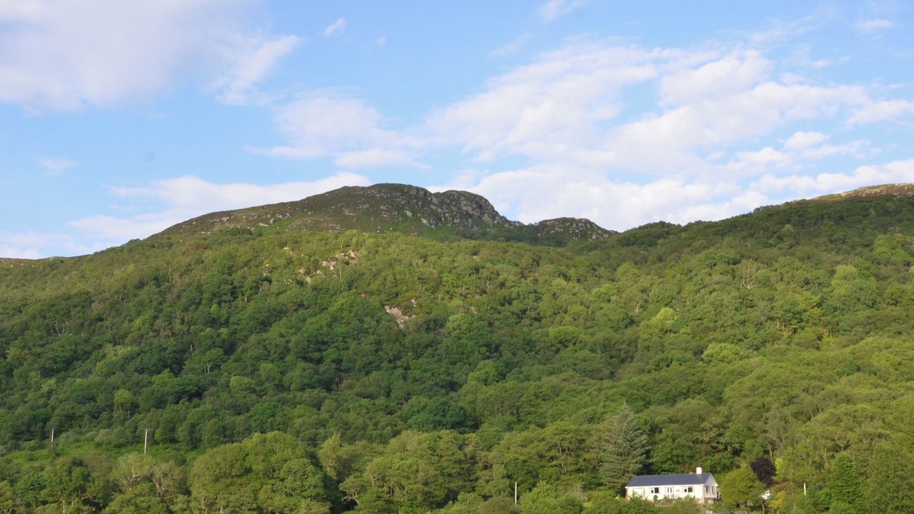 Photo of Others in Colintraive