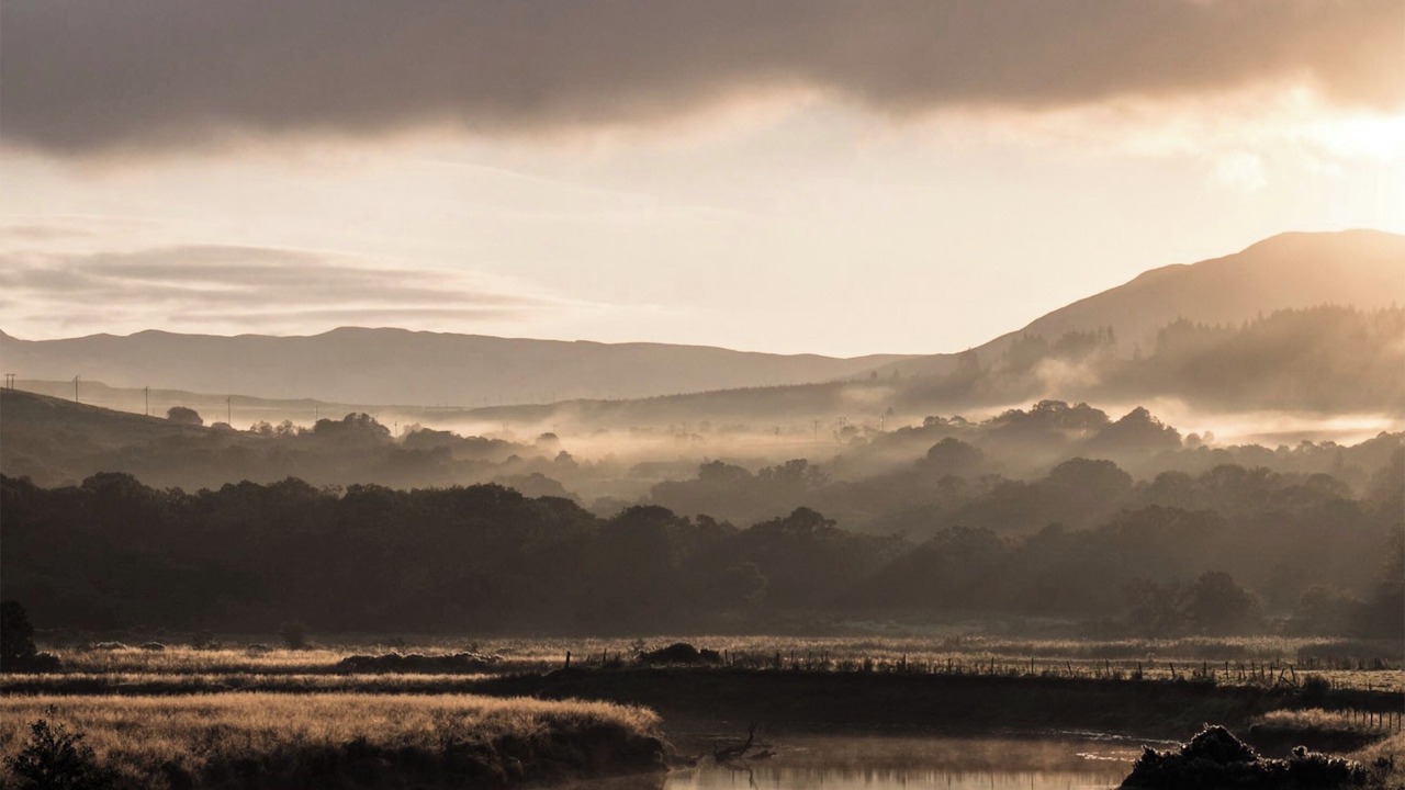 Photo of Others in Colintraive