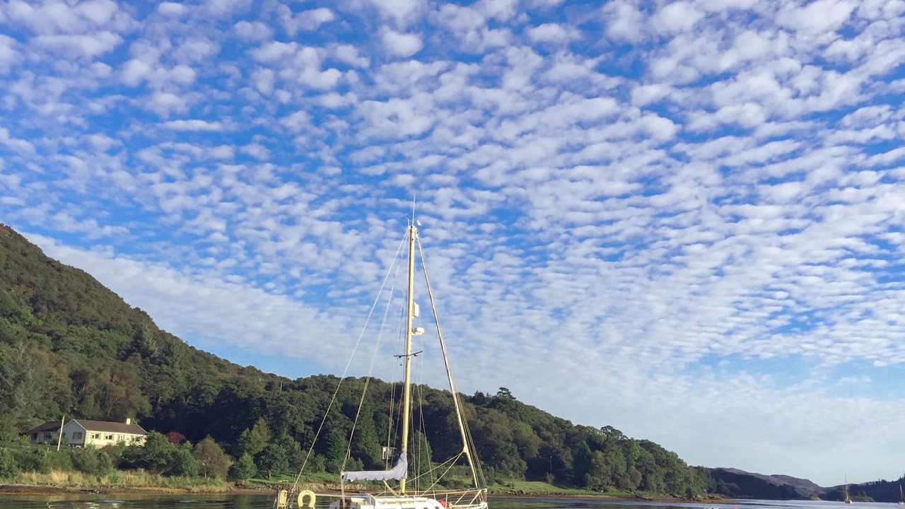 Photo of Others in Colintraive