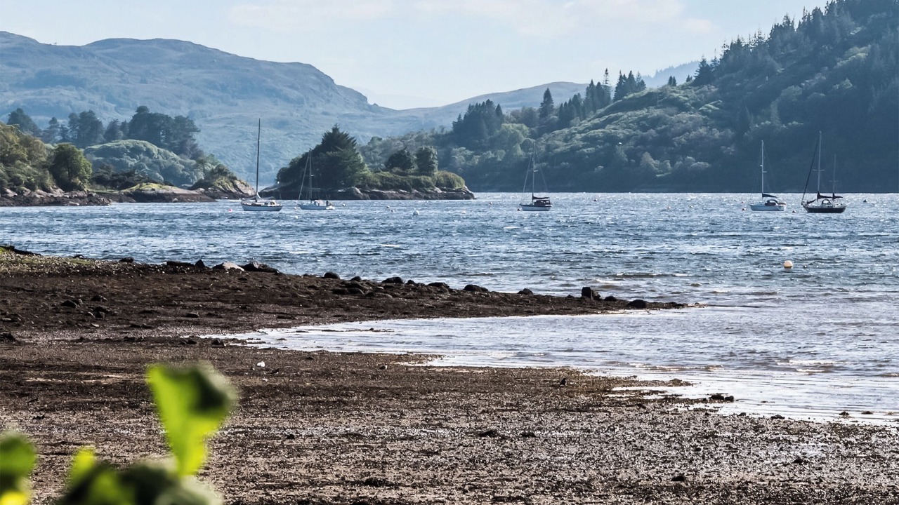 Photo of Others in Colintraive