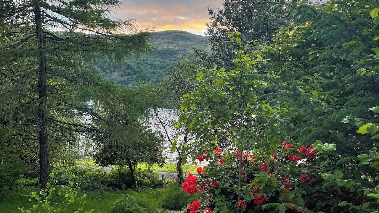 Photo of Others in Colintraive