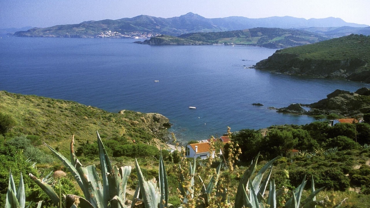 Photo of Others in Port-Vendres