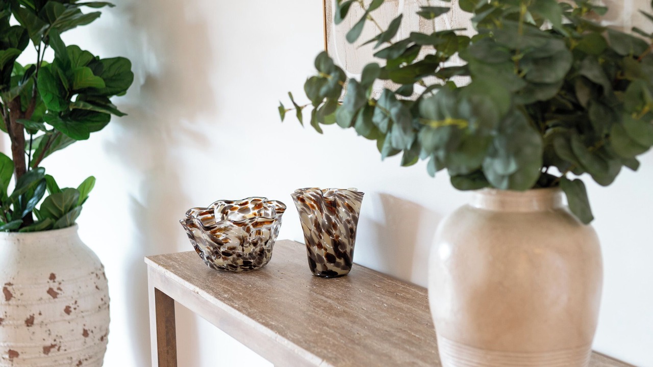 Photo of Others in Port Macquarie