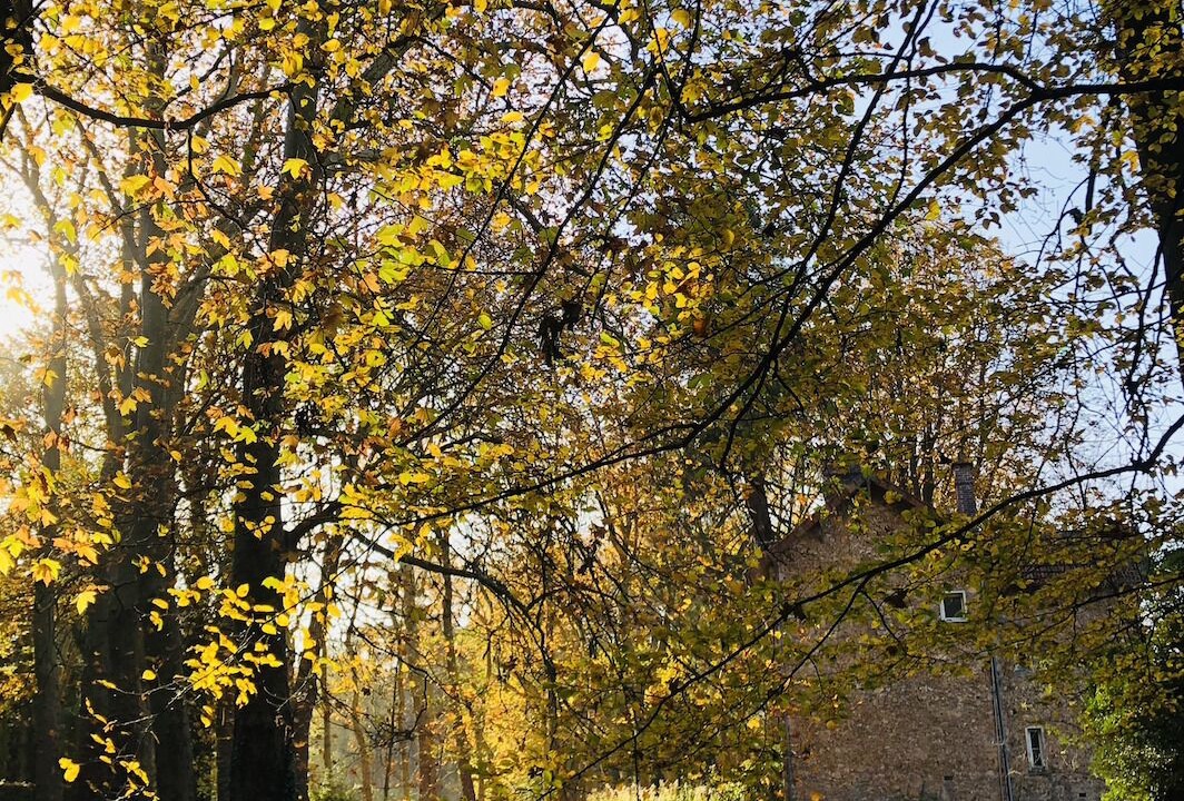 Photo of Others in Saint-Remy-les-Chevreuse