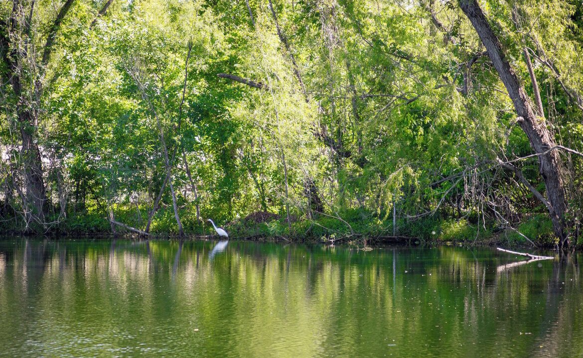 Photo of Outdoor in Missouri City