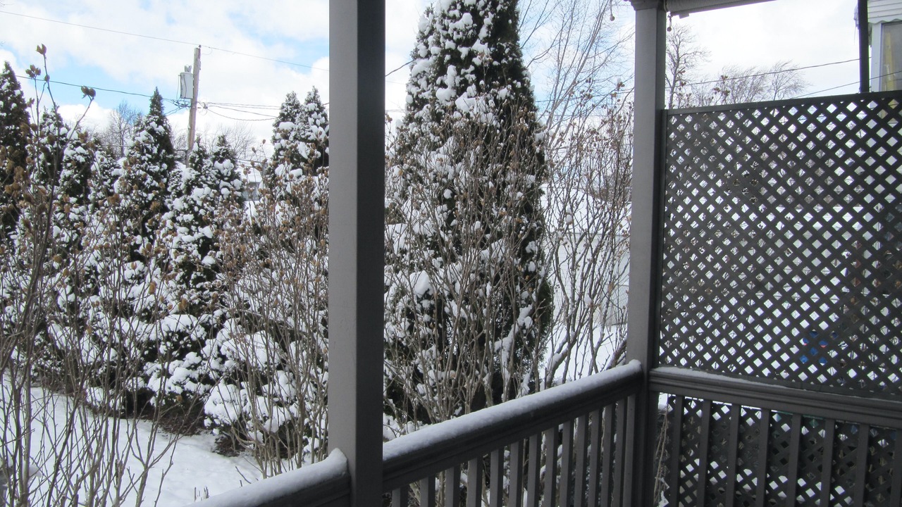 Photo of Outdoor in North Buffalo