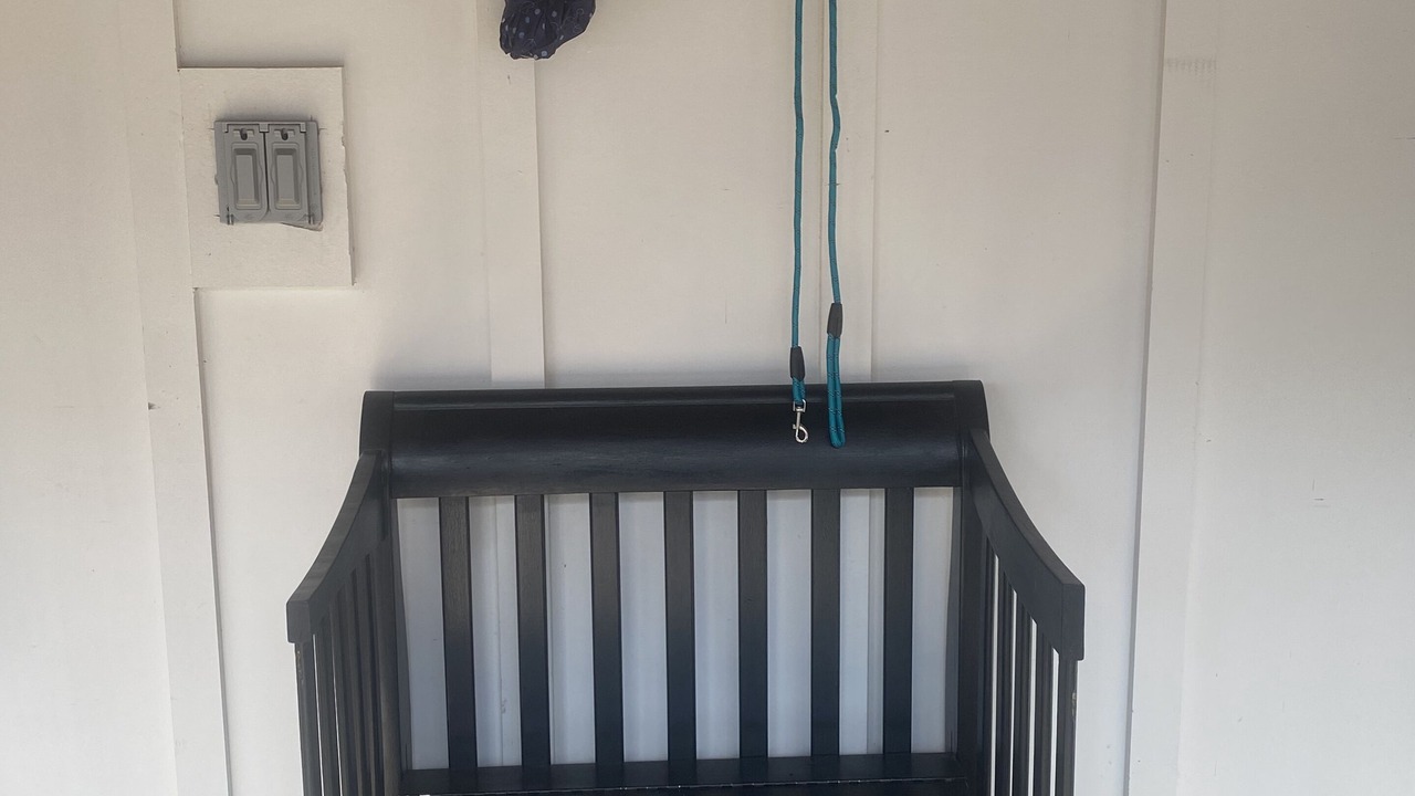 Photo of Outdoor in Ellijay