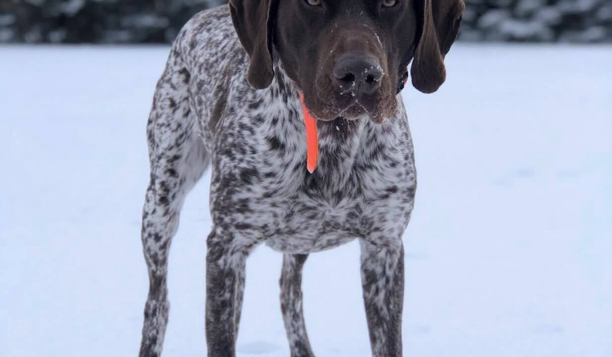 Photo of Others in Stamford