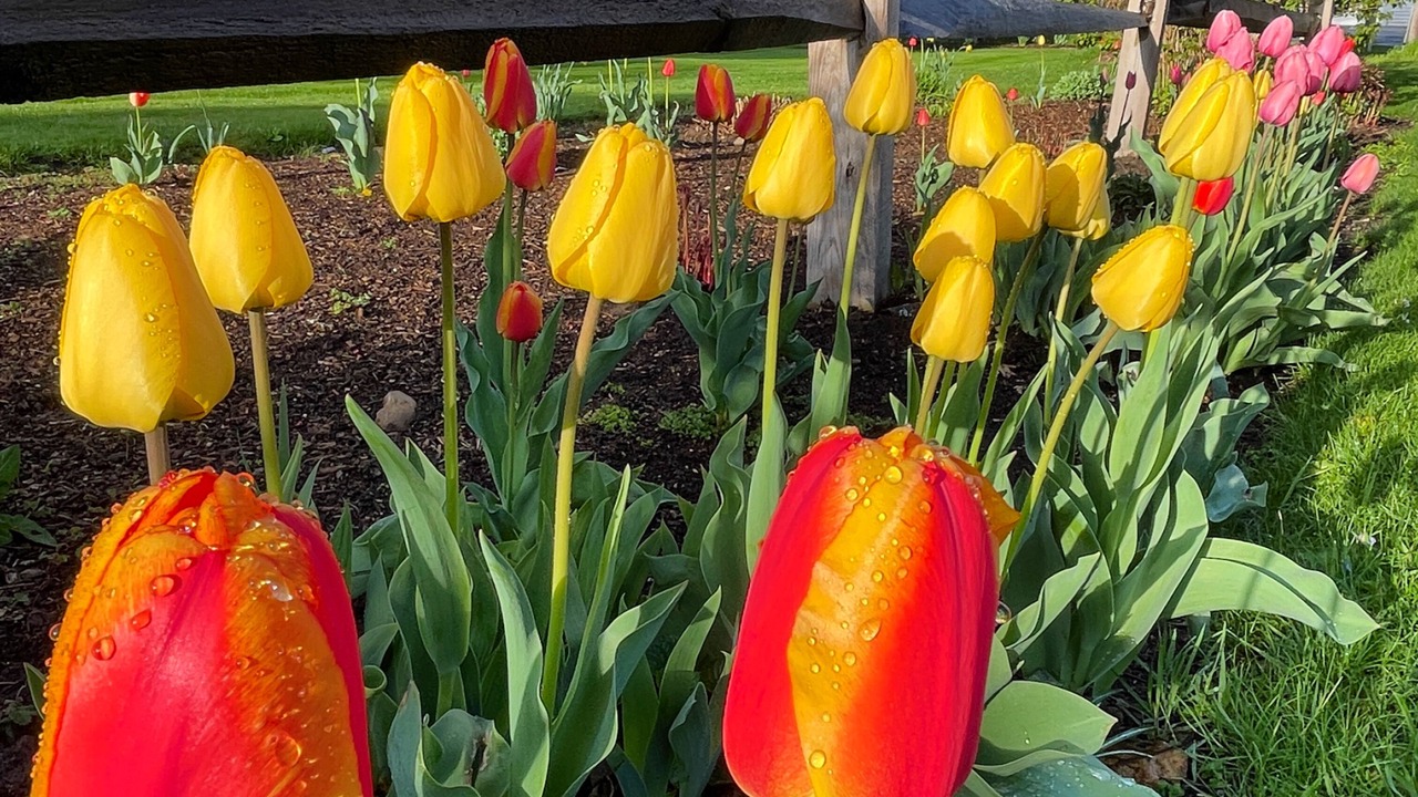 Photo of Outdoor in Stamford