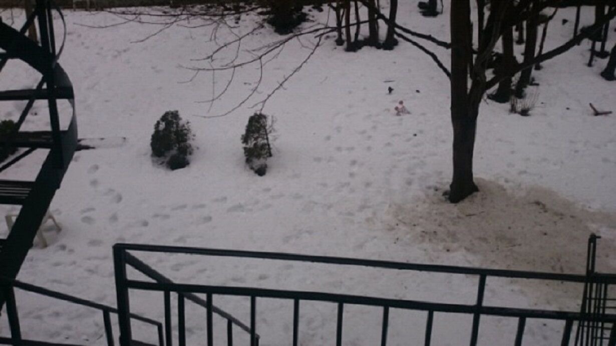 Photo of Outdoor in Cote-Des-Neiges—Notre-Dame-De-Grace