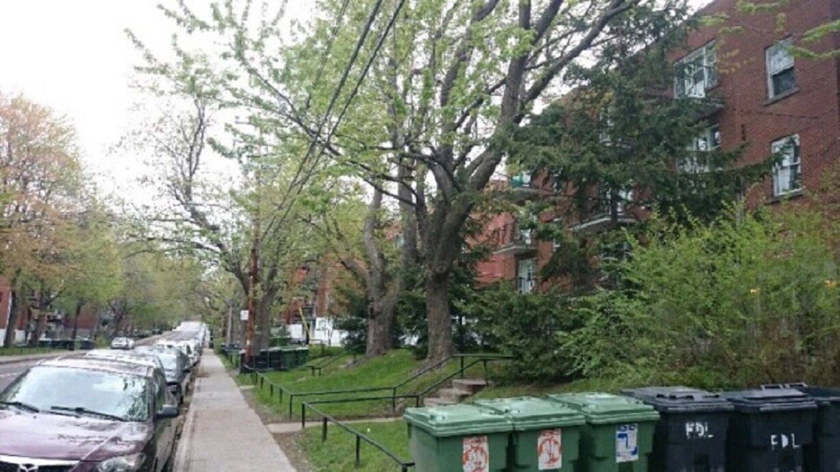 Photo of Others in Cote-Des-Neiges—Notre-Dame-De-Grace