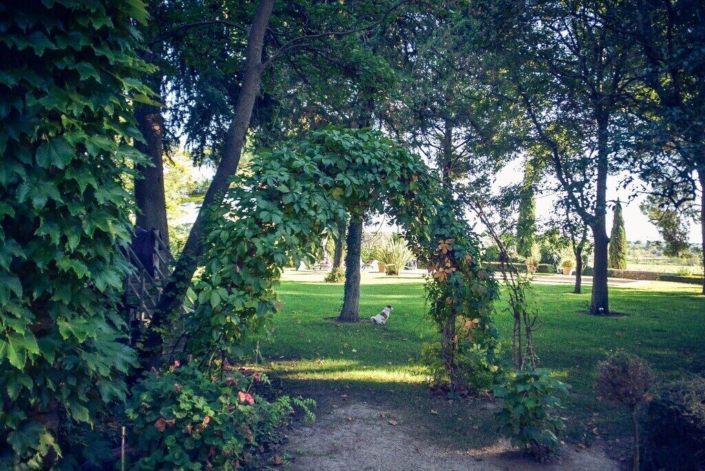 Photo of Outdoor in Montagnac