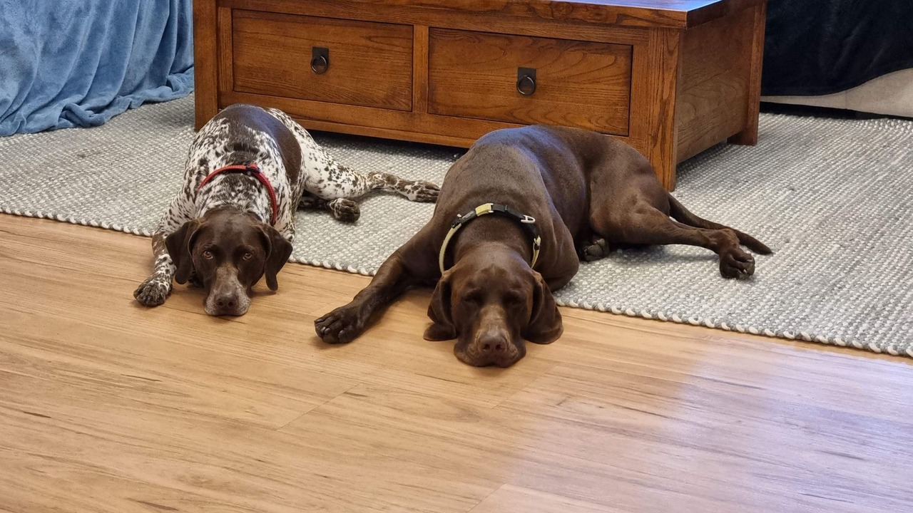 Photo of Others in Coomba Park