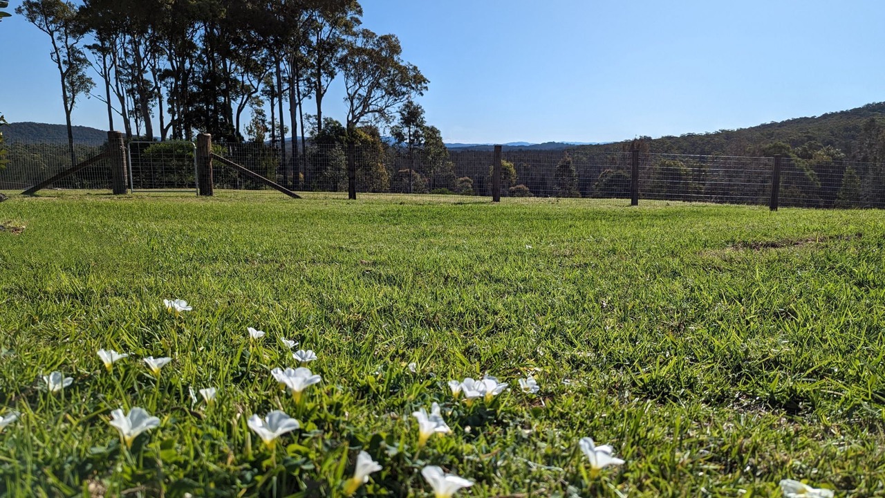 Photo of Outdoor in Coomba Park