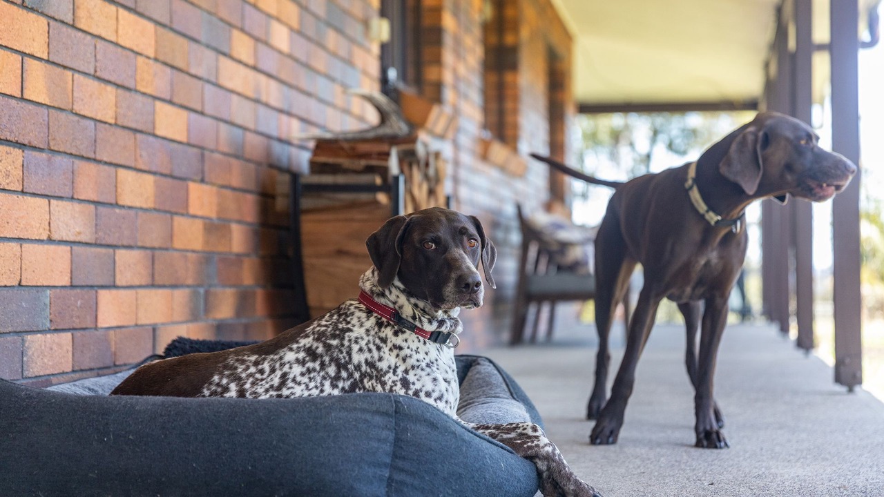 Photo of Others in Coomba Park