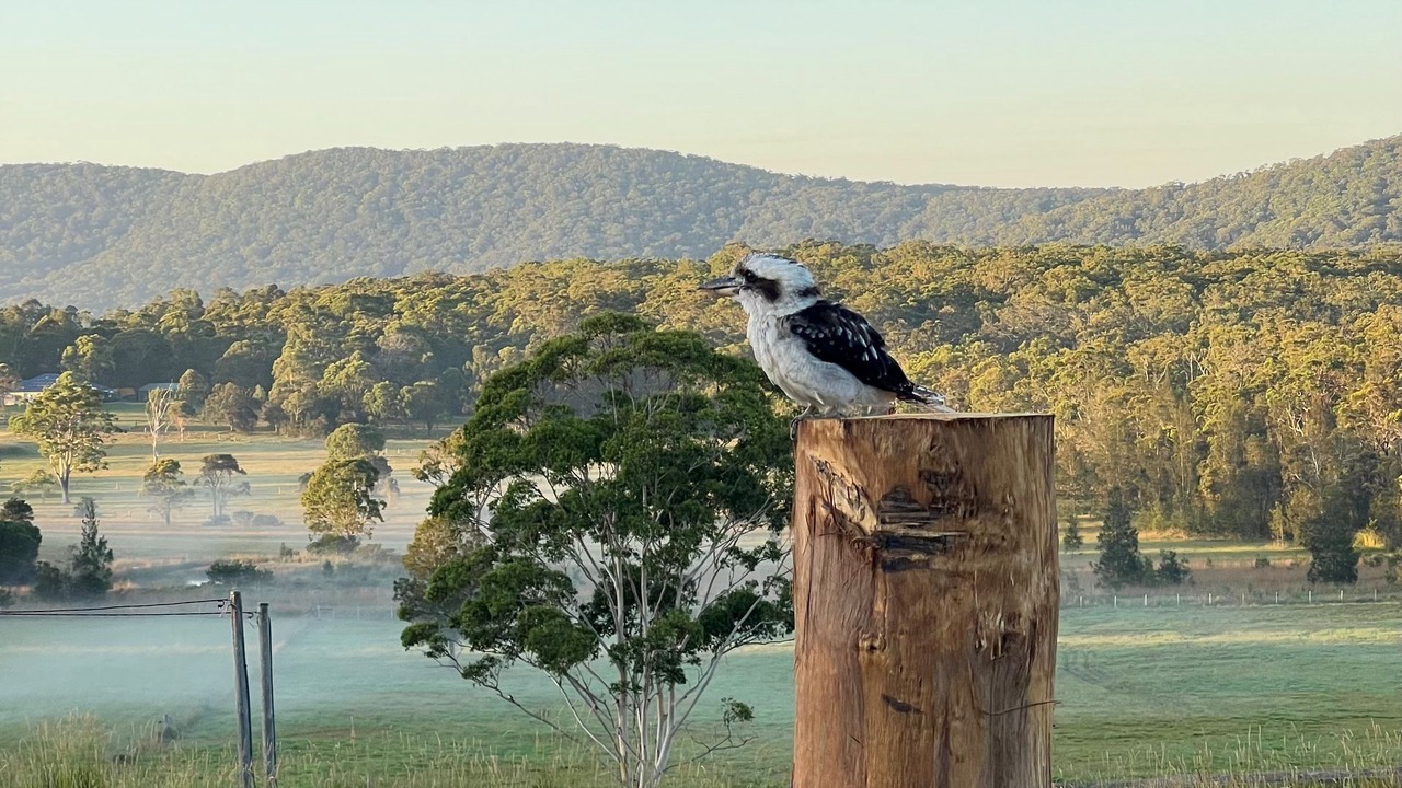 Photo of Others in Coomba Park