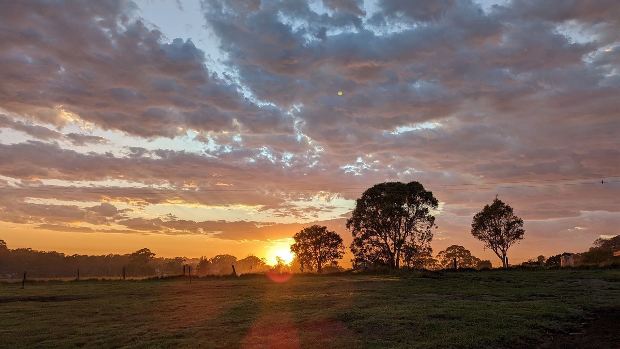 Photo of Outdoor in Coomba Park
