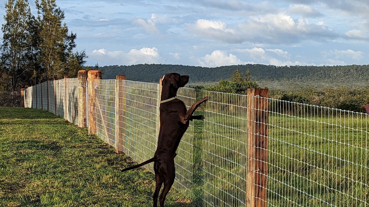 Photo of Outdoor in Coomba Park