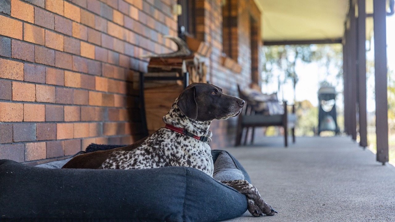 Photo of Outdoor in Coomba Park