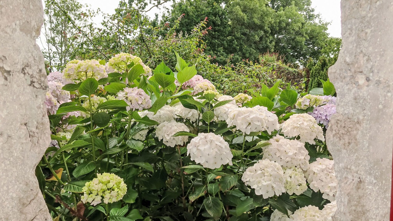 Photo of Others in Treguier