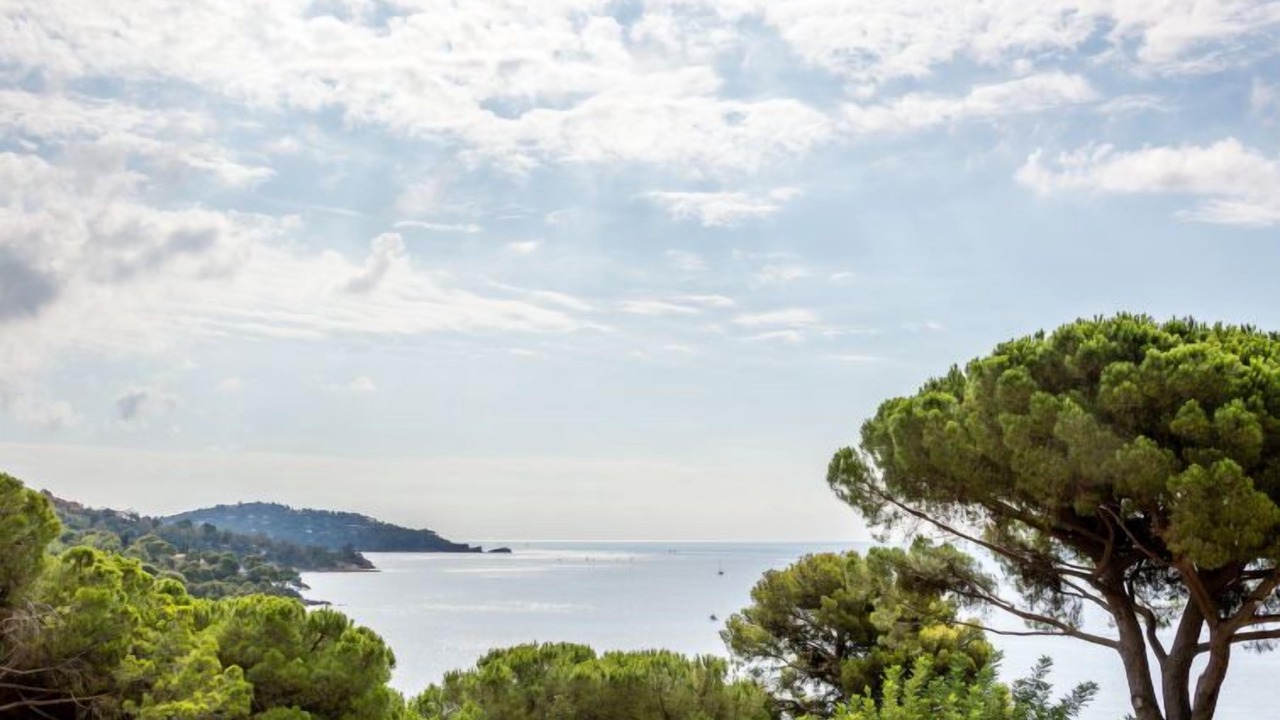 Photo of Others in Le Rayol