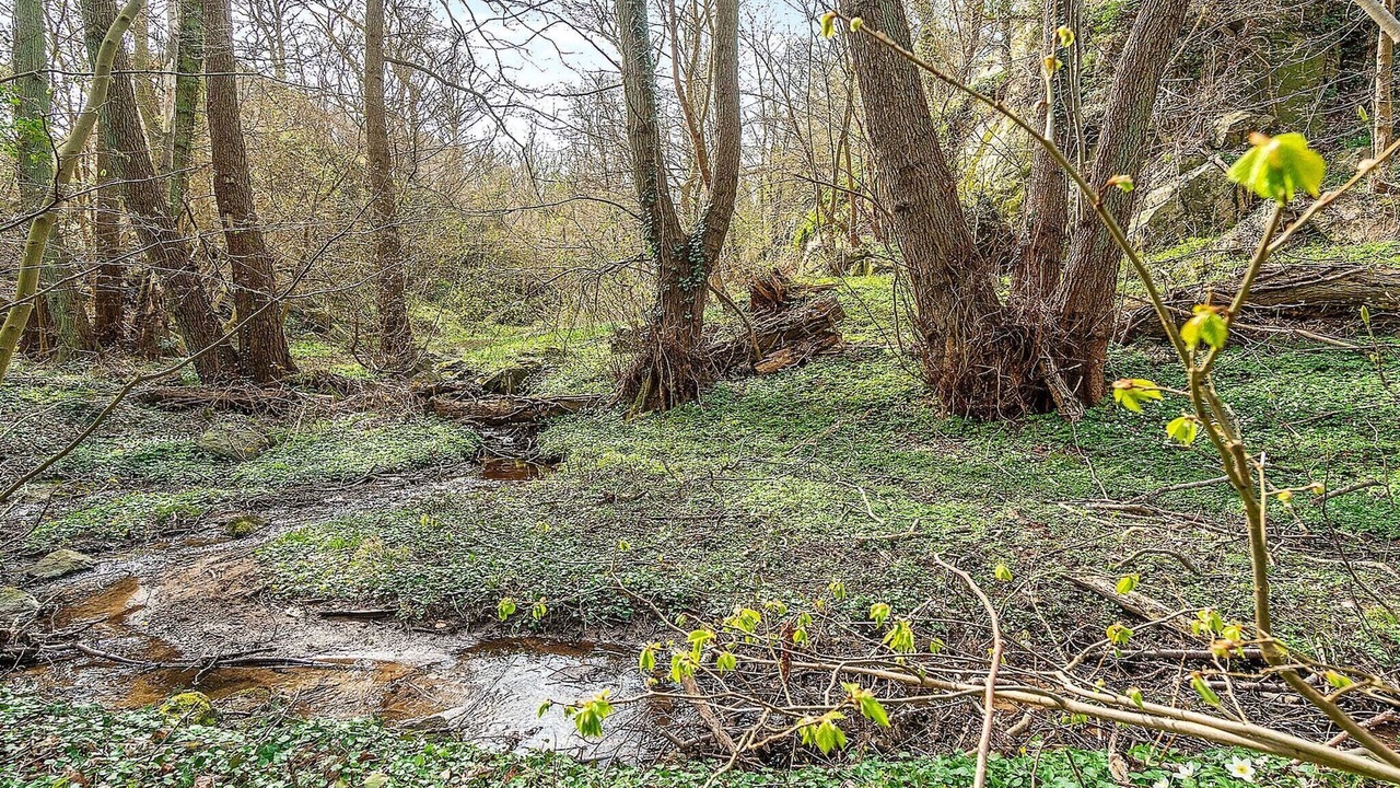 Photo of Outdoor in Sandkaas