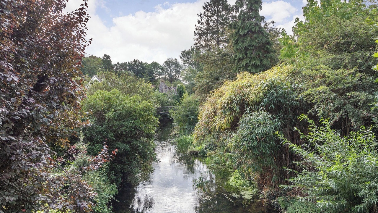 Photo of Others in Bungay