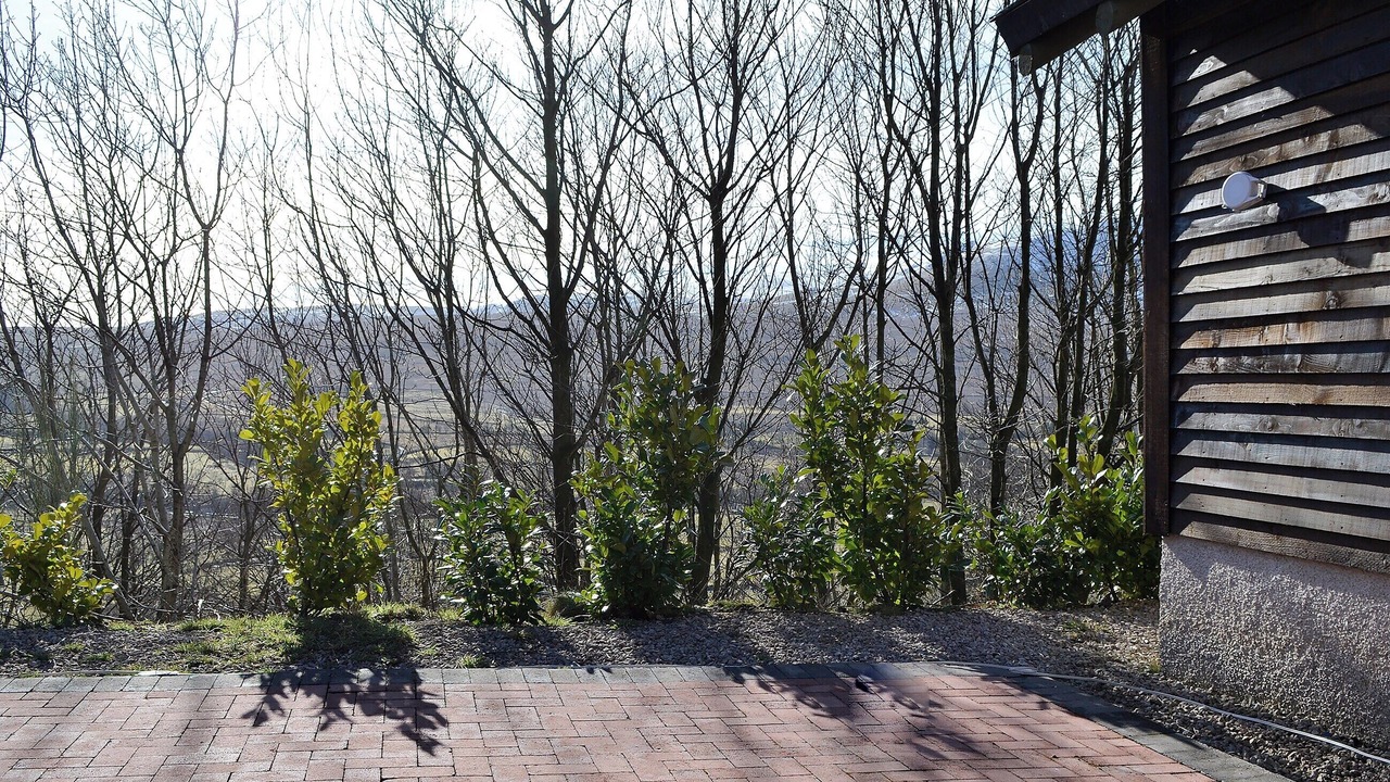 Photo of Others in Scales