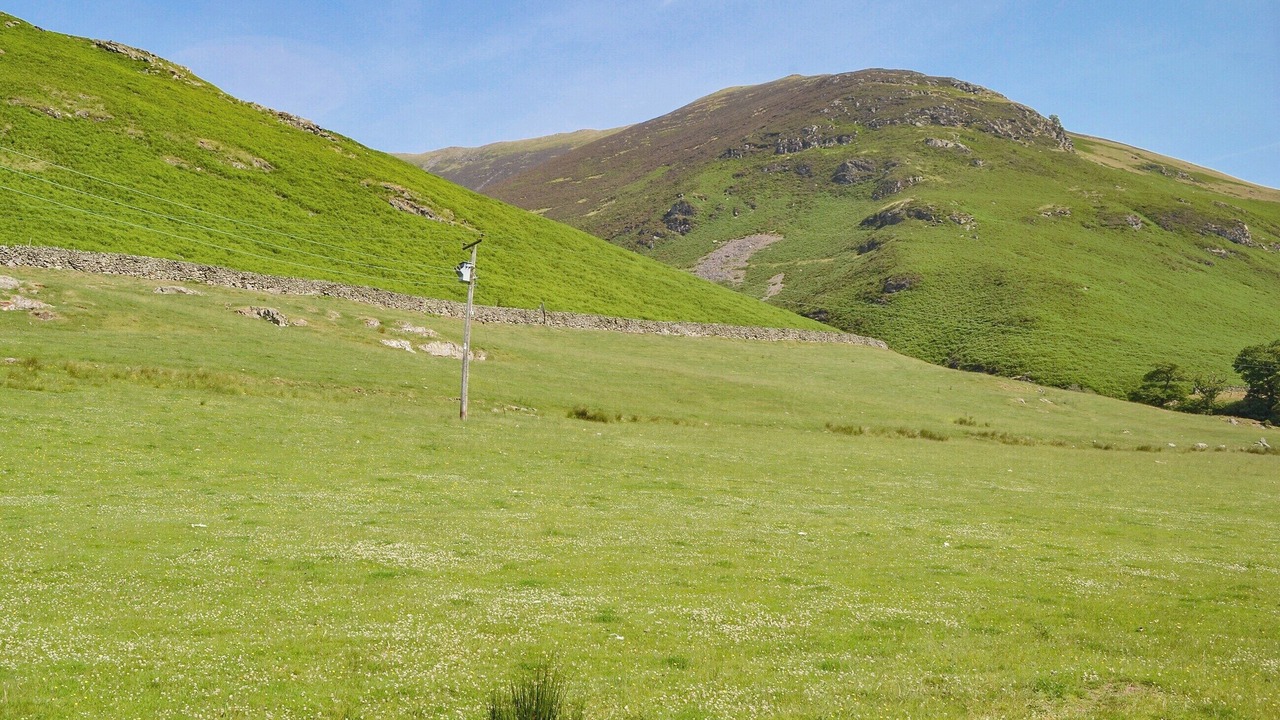 Photo of Others in Scales