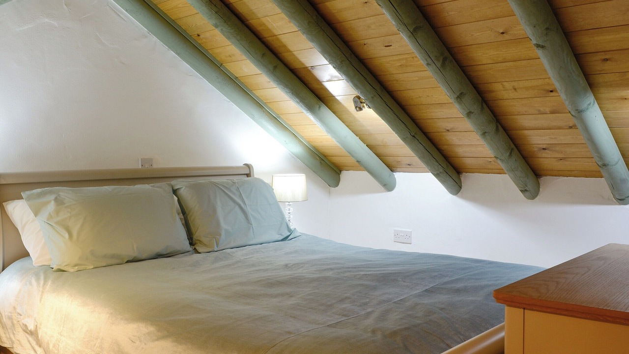 Photo of Others in Scales