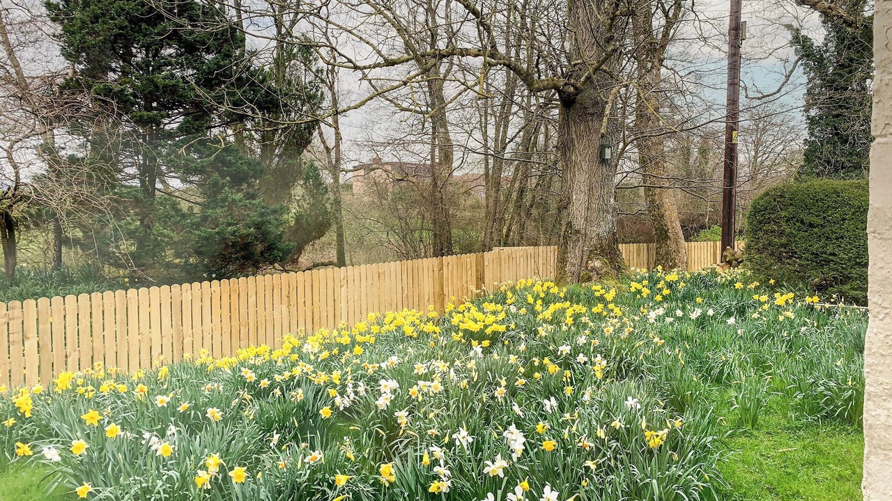 Photo of Outdoor in Newbridge