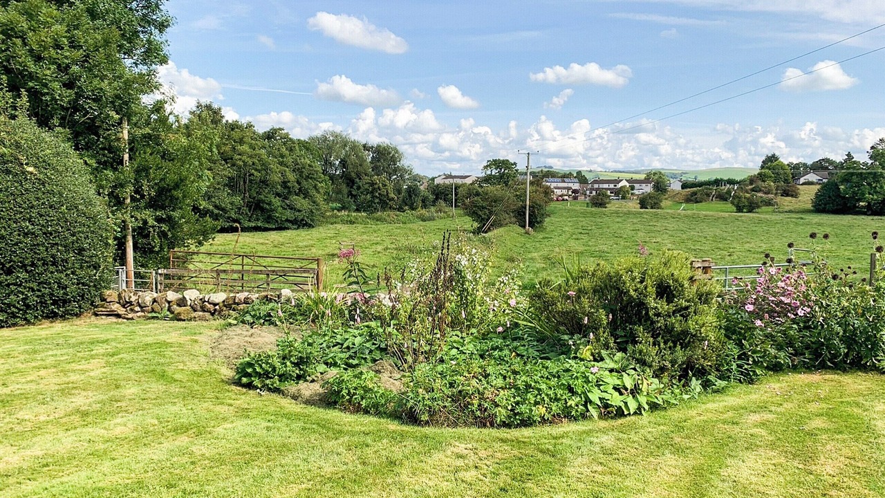 Photo of Outdoor in Newbridge