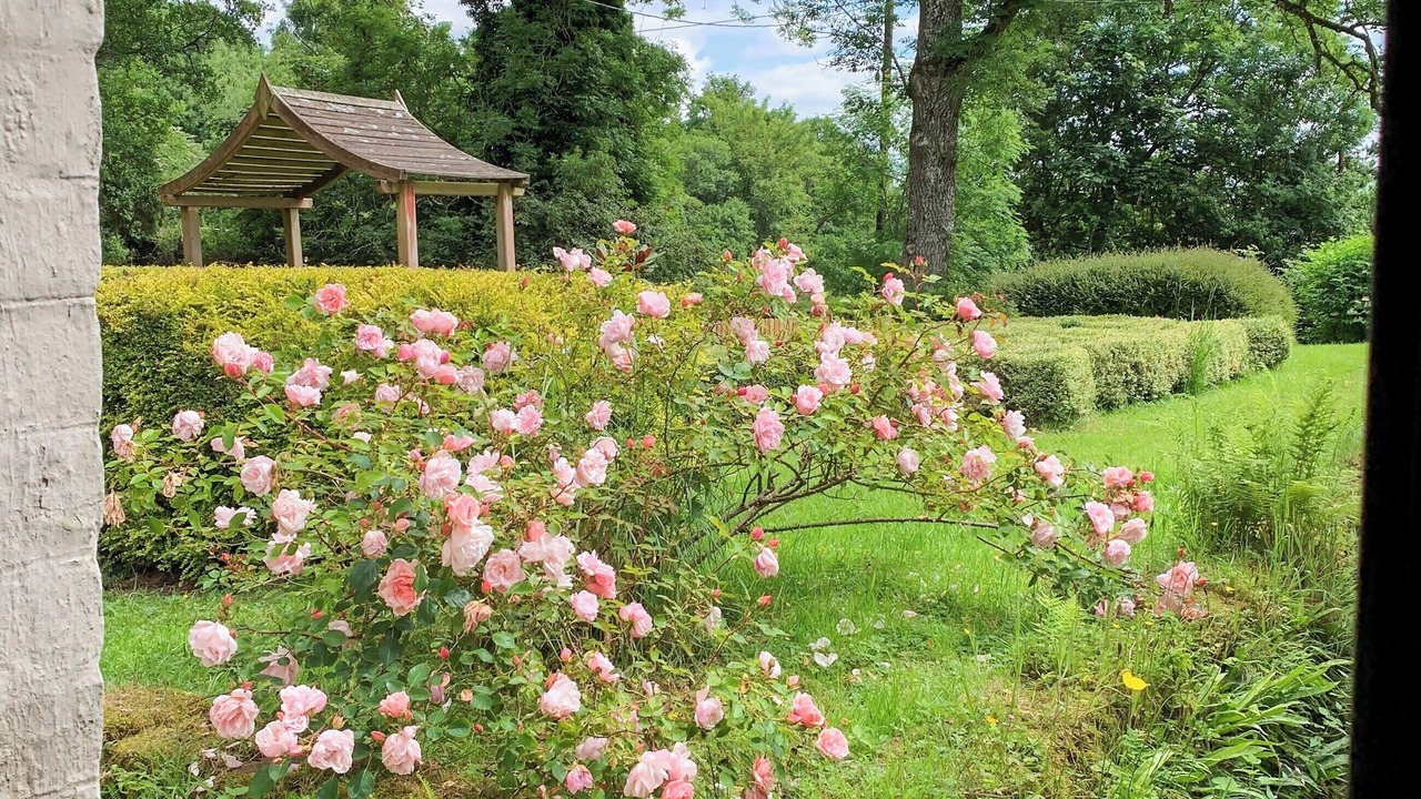 Photo of Outdoor in Newbridge
