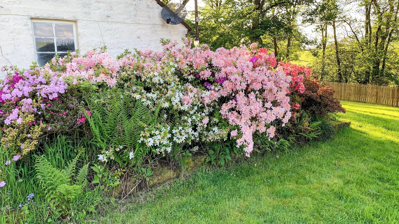 Photo of Outdoor in Newbridge