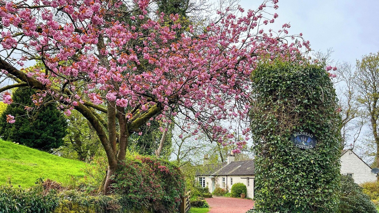 Photo of Outdoor in Newbridge