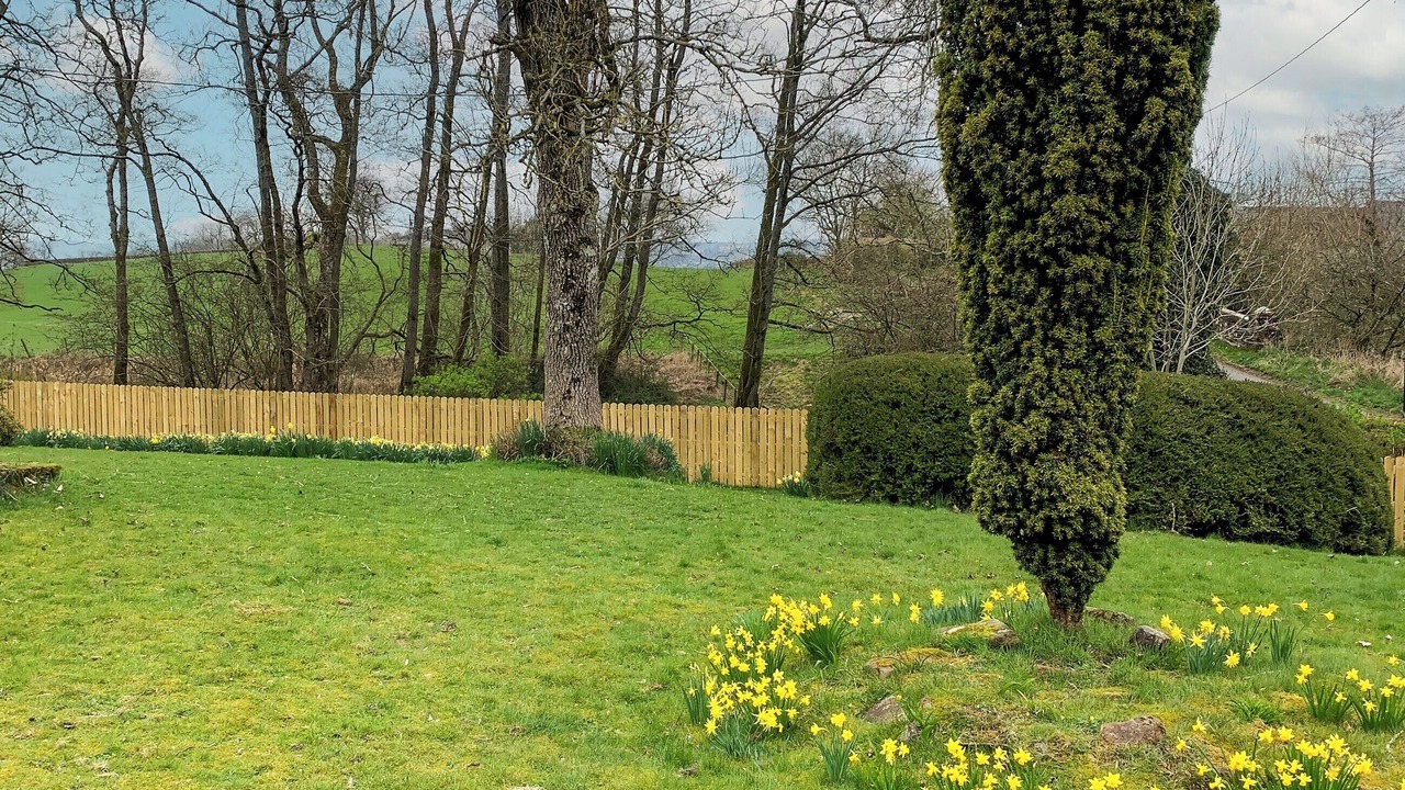 Photo of Outdoor in Newbridge