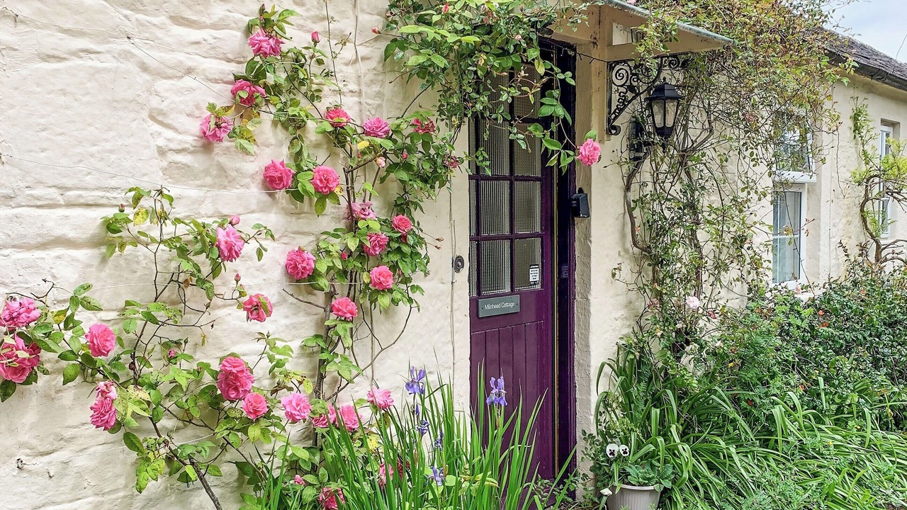 Photo of Outdoor in Newbridge