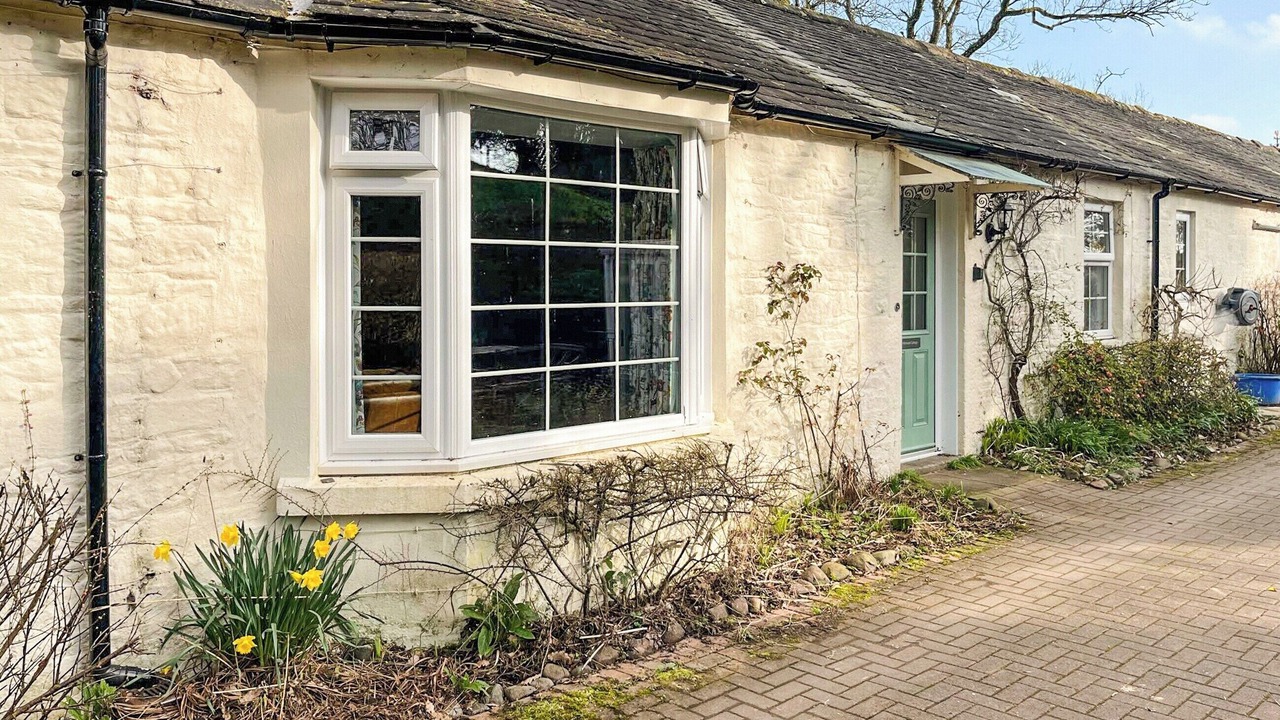 Photo of Others in Newbridge