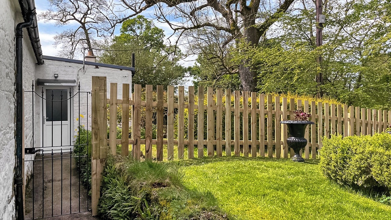 Photo of Others in Newbridge