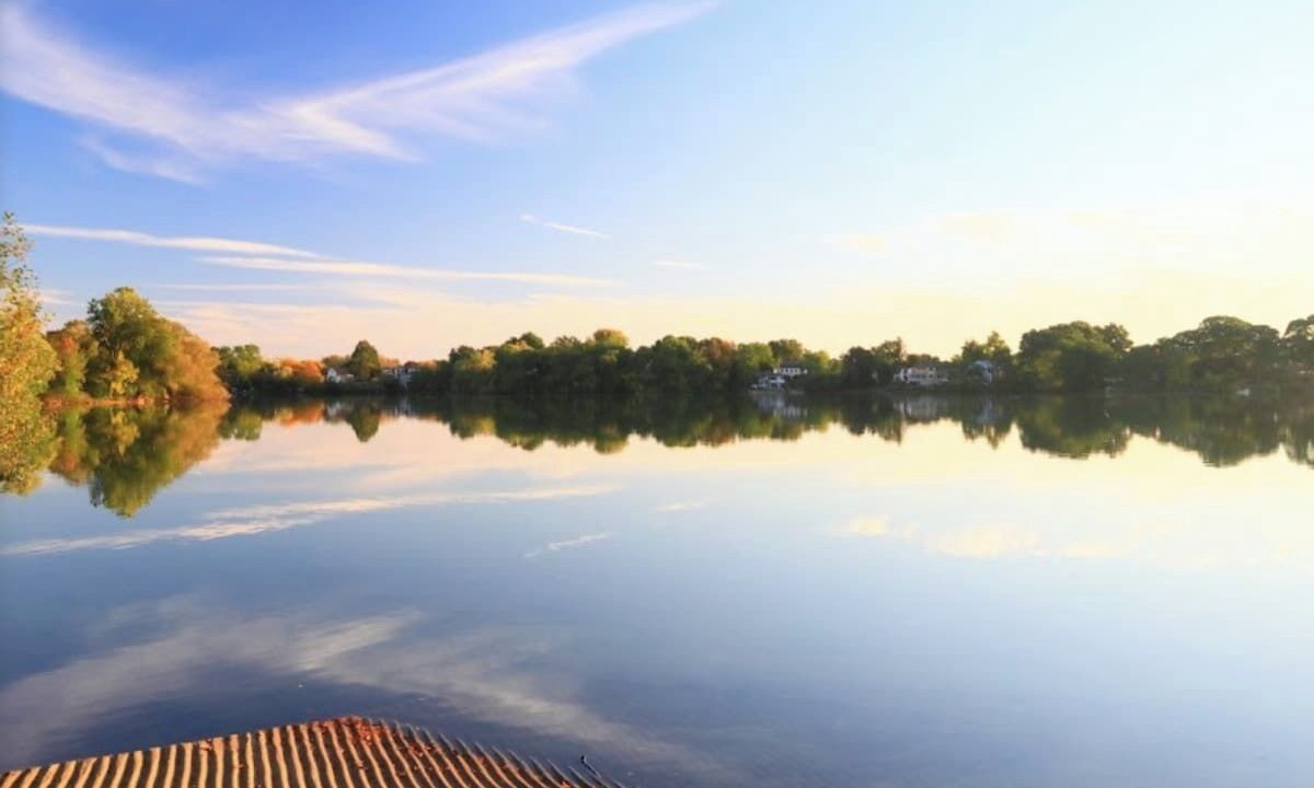 Photo of Others in Arlington