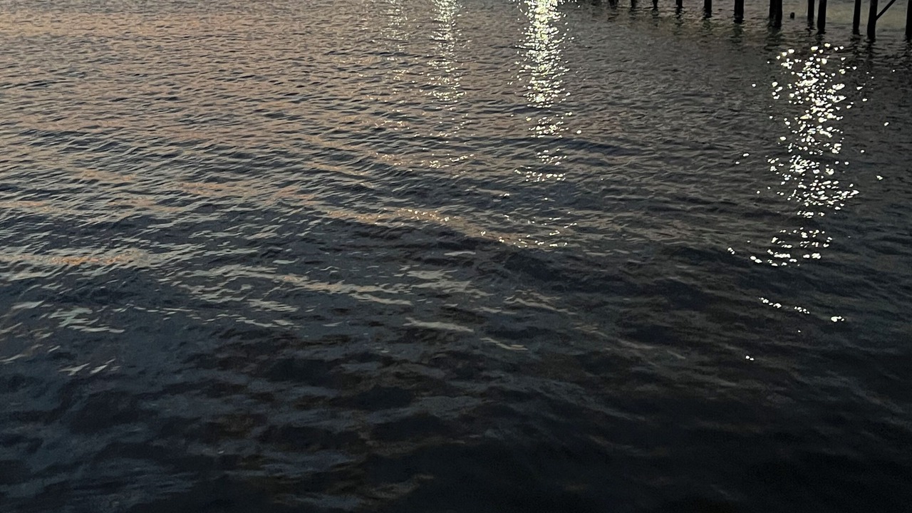 Photo of Others in Galveston