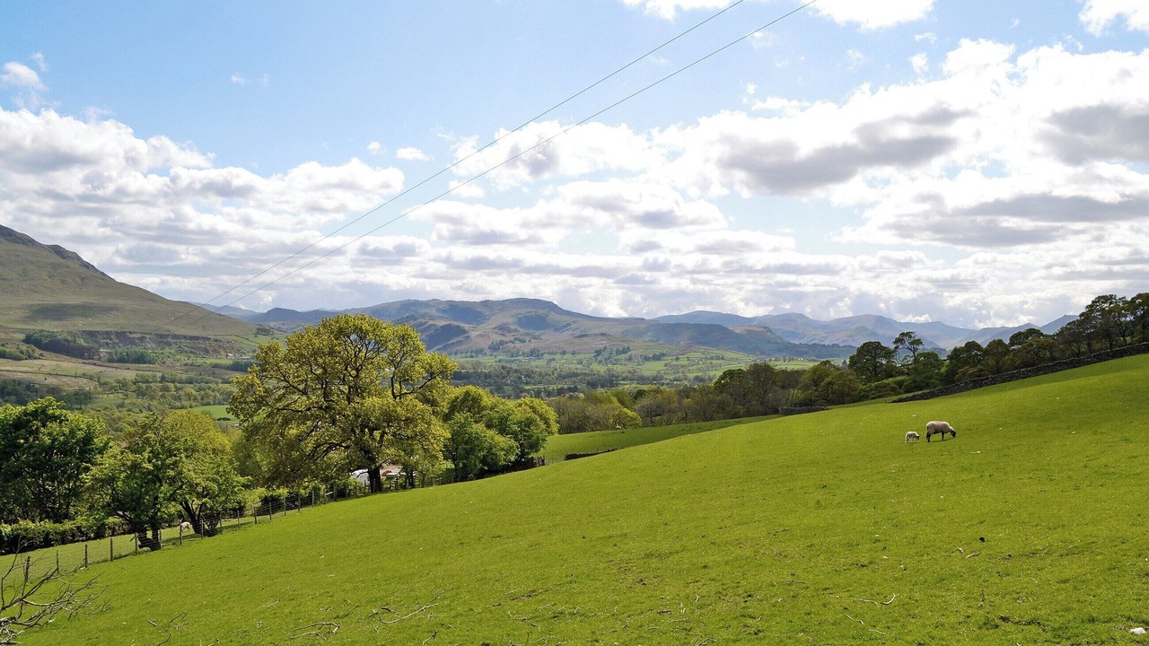 Photo of Others in Scales