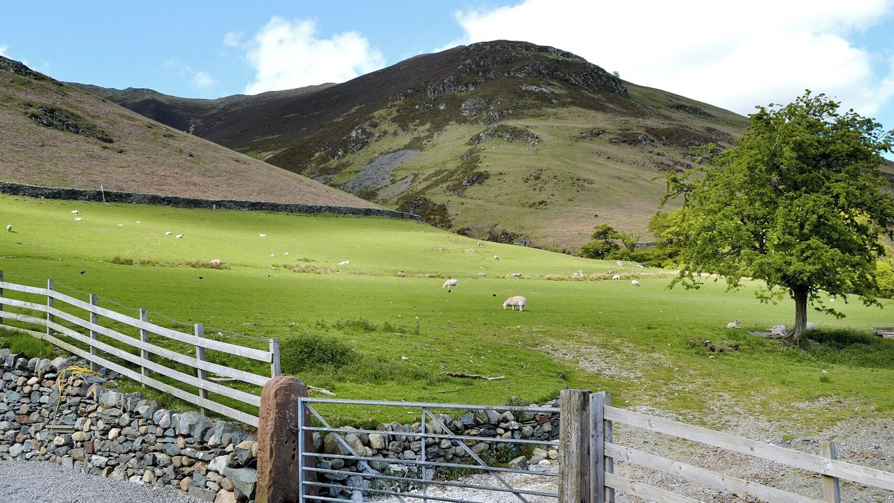 Photo of Others in Scales