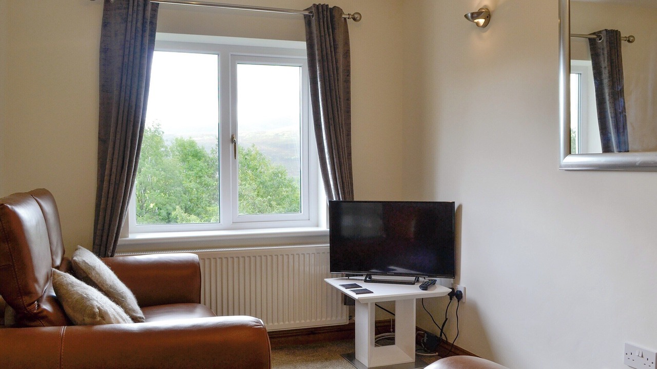 Photo of Others in Scales