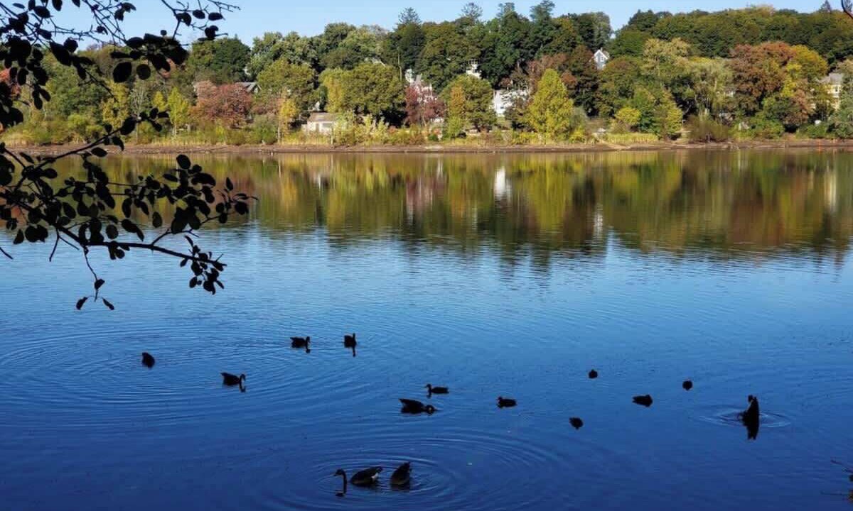 Photo of Others in Arlington