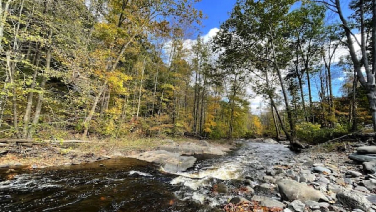 Photo of Others in Ellenville