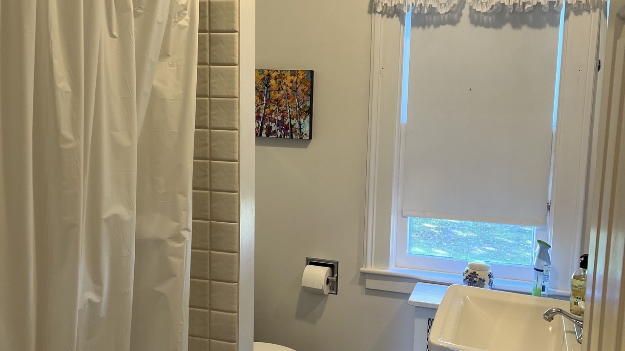 Photo of Bathroom in East Homer